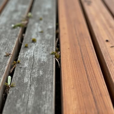 Maintained deck by Alabama Deck Restoration